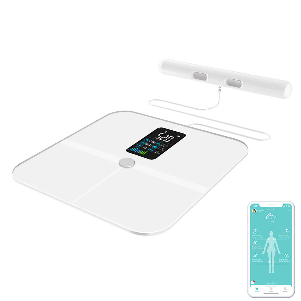 body-composition-wifi-scale