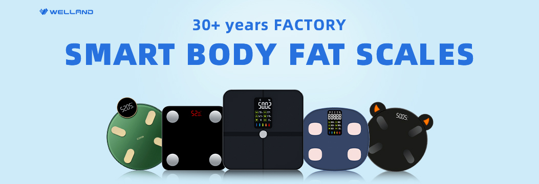 smart body fat scale